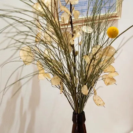 Old Style Fully Renewed And Spacious 3-bed Lisboa